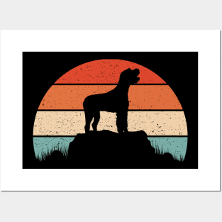 Wirehaired pointer dog Posters and Art